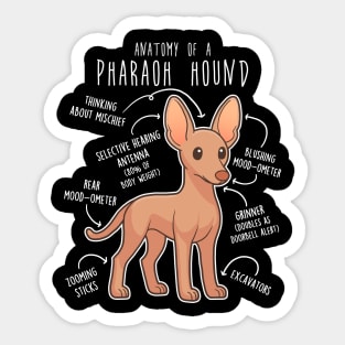 Pharaoh Hound Dog Anatomy Sticker